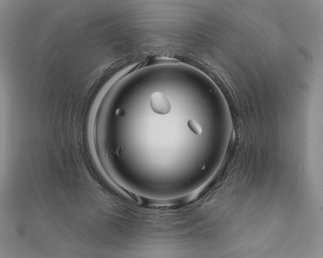 X0000110880693200906181225