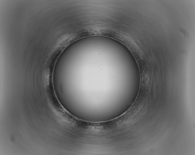 X0000110880694200906181225