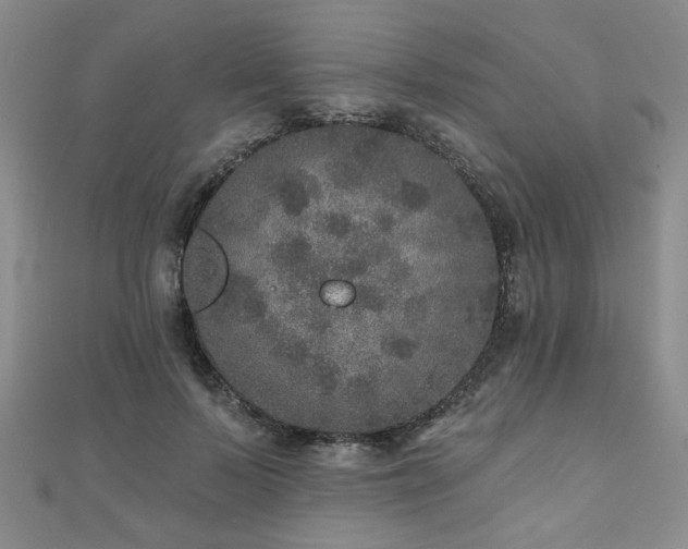 X0000110880695200906181225
