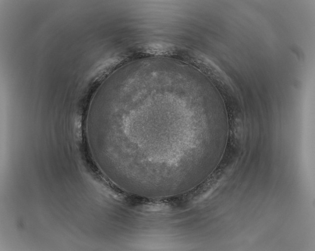 X0000110880696200906181225