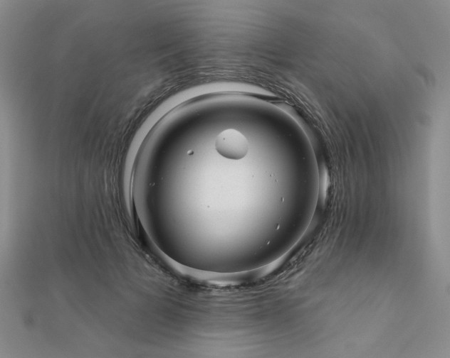 X0000110880697200906181225