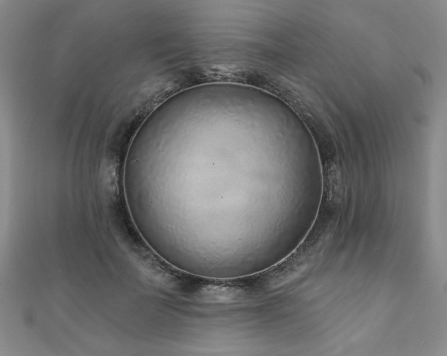 X0000110880699200906181225