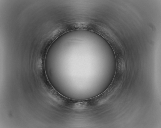 X0000110880700200906181225
