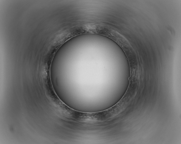 X0000110880702200906181225