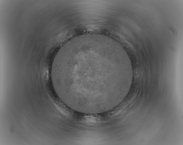 X0000110880703200906181225