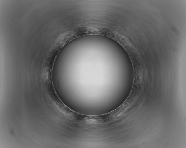 X0000110880706200906181225
