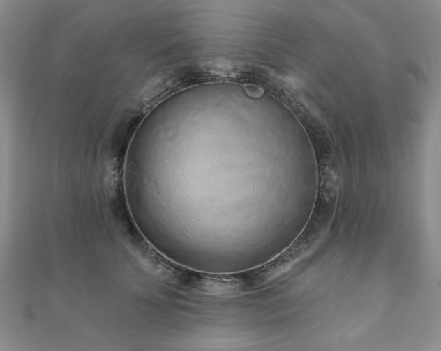 X0000110880707200906181225
