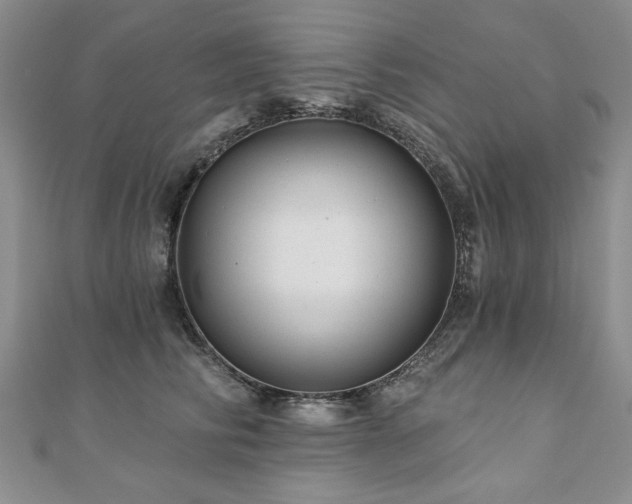 X0000110880710200906181225