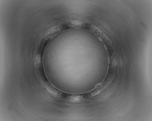 X0000110880711200906181225