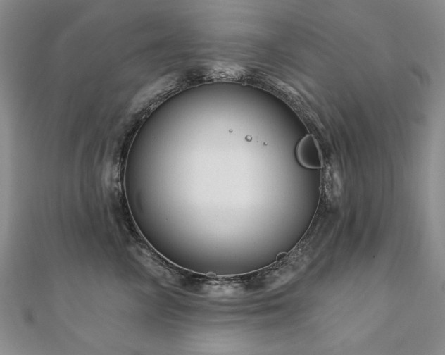 X0000110880714200906181225