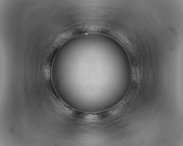X0000110880718200906181225