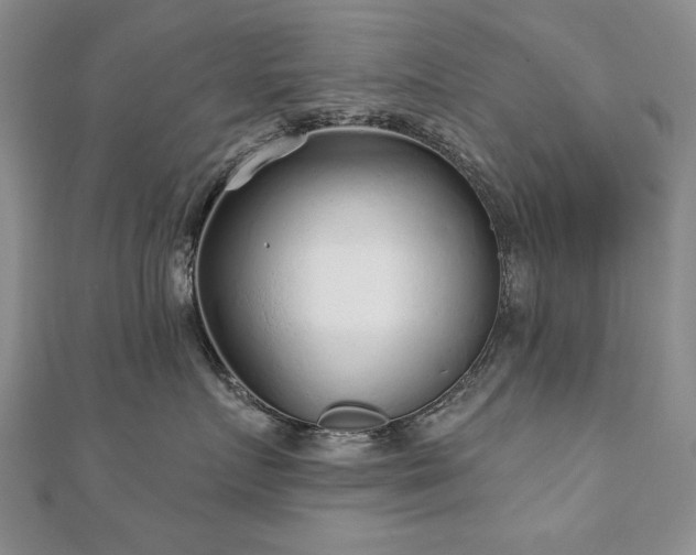 X0000110880719200906181225