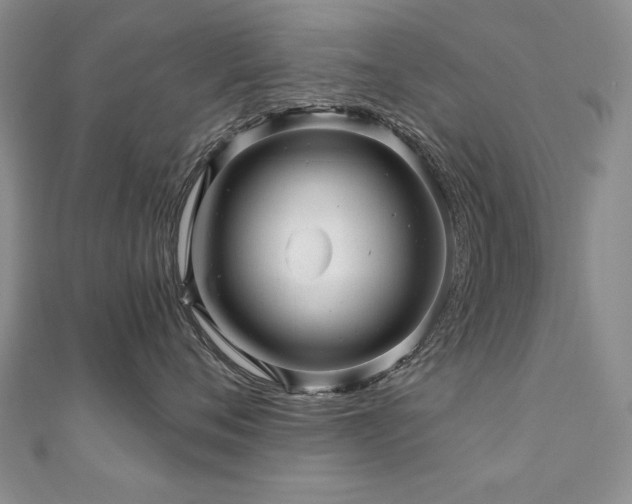 X0000110880720200906181225