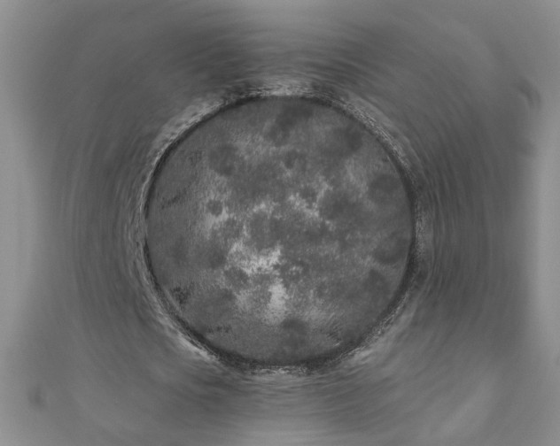 X0000110880721200906181224