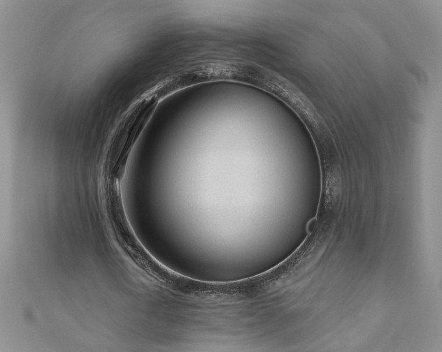 X0000110880722200906181224