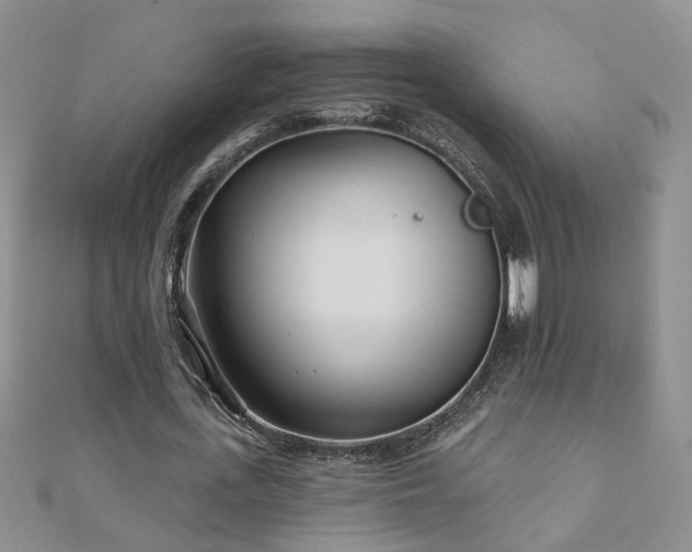 X0000110880723200906181224