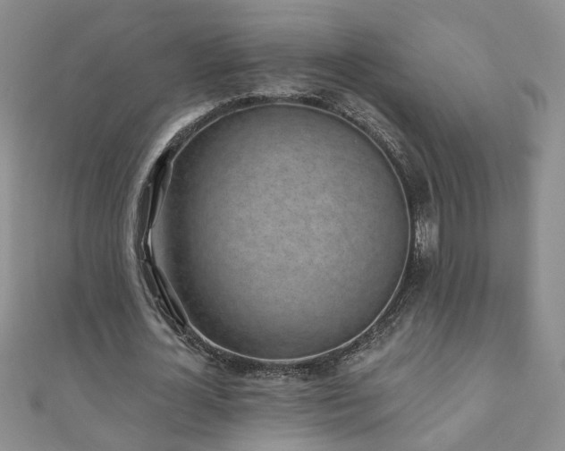 X0000110880724200906181224