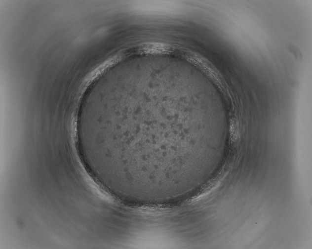 X0000110880725200906181224