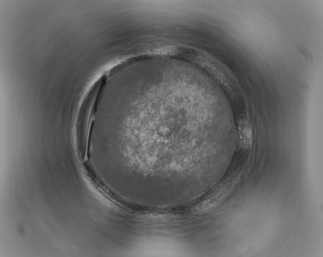X0000110880726200906181224