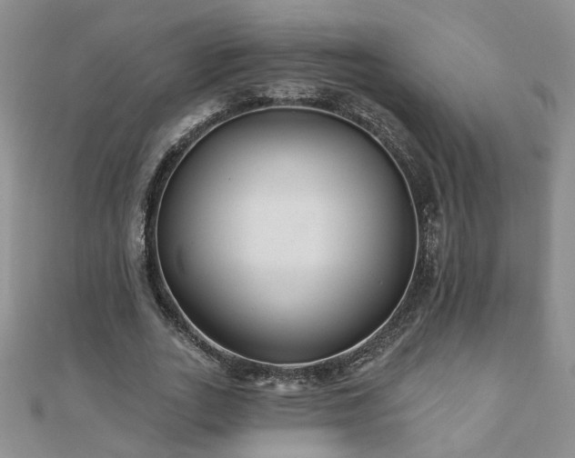 X0000110880727200906181224