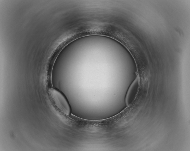 X0000110880728200906181224