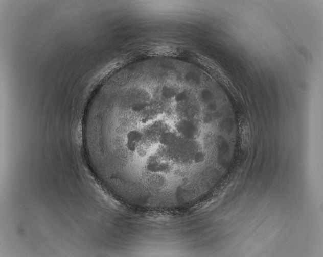 X0000110880729200906181224
