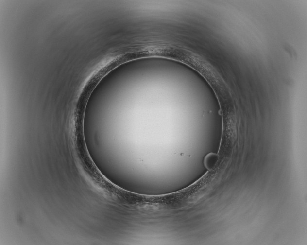 X0000110880730200906181224