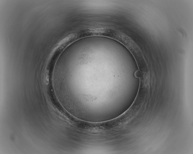 X0000110880731200906181225