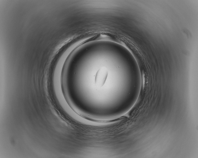 X0000110880732200906181225