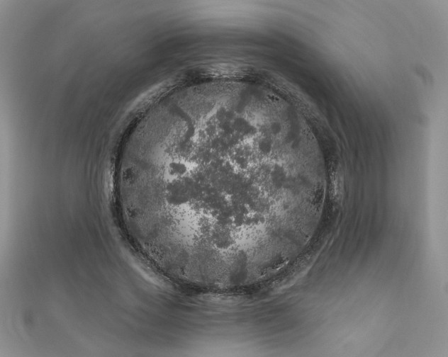 X0000110880733200906181225