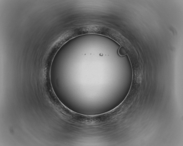 X0000110880735200906181225