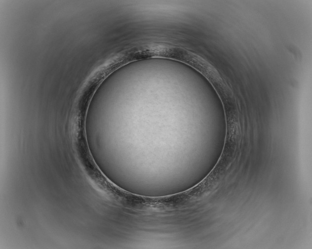 X0000110880736200906181225