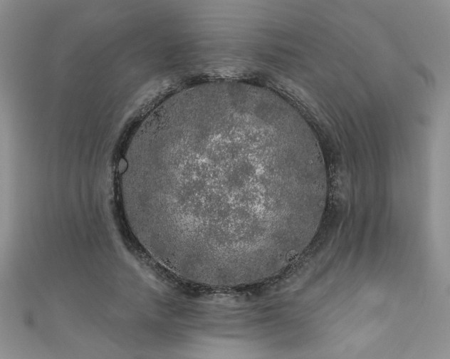 X0000110880738200906181225