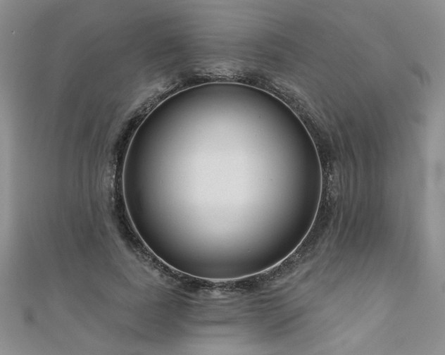 X0000110880739200906181225