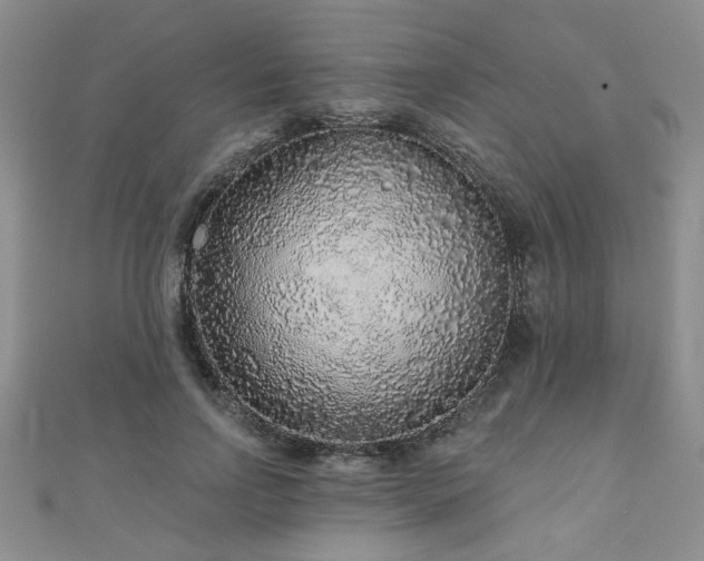 X0000110880742200906181225