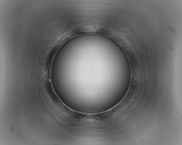 X0000110880743200906181225