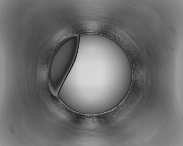 X0000110880744200906181225