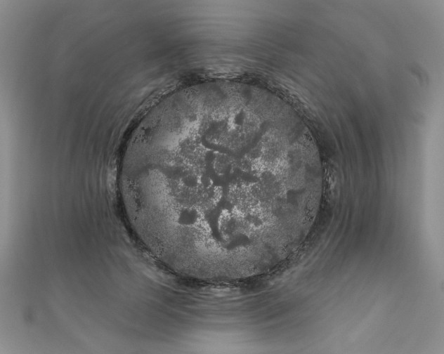 X0000110880745200906181225