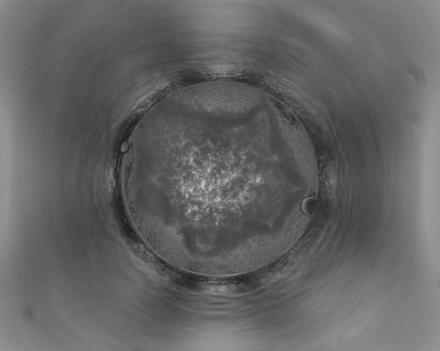 X0000110880746200906181225