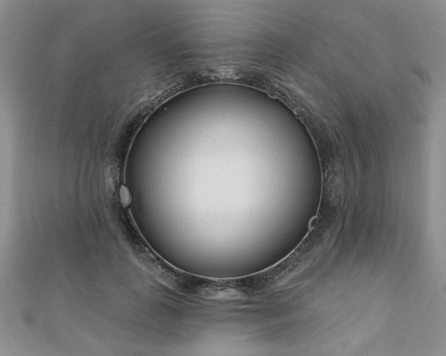 X0000110880747200906181225
