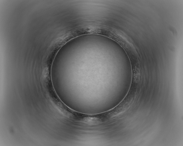 X0000110880748200906181225
