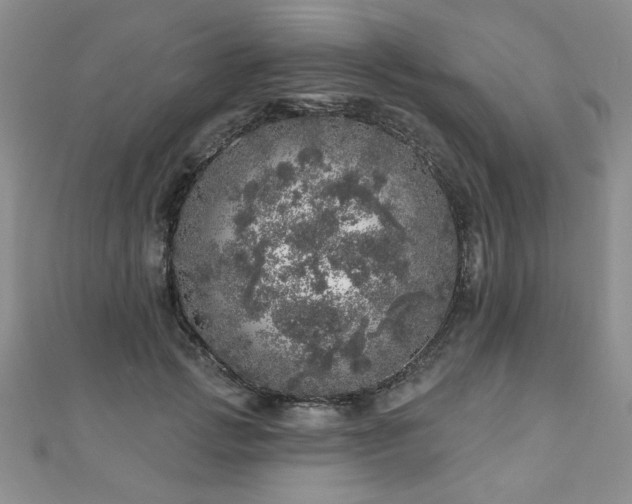 X0000110880749200906181225