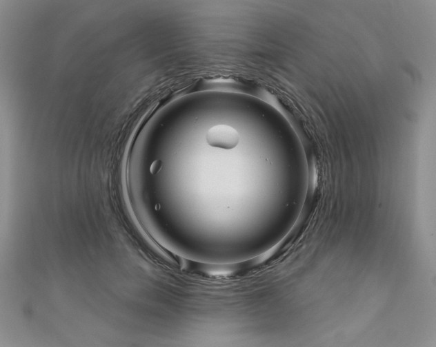 X0000110880750200906181225