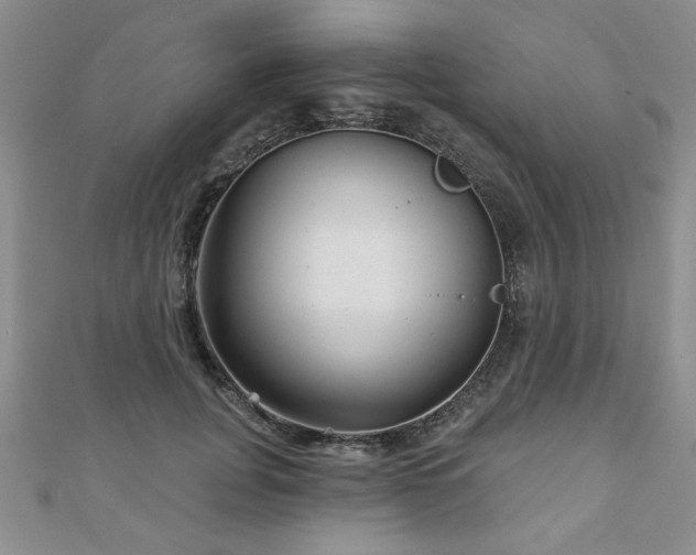 X0000110880751200906181225