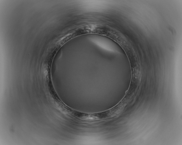 X0000110880754200906181225