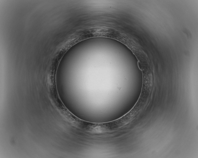 X0000110880755200906181225