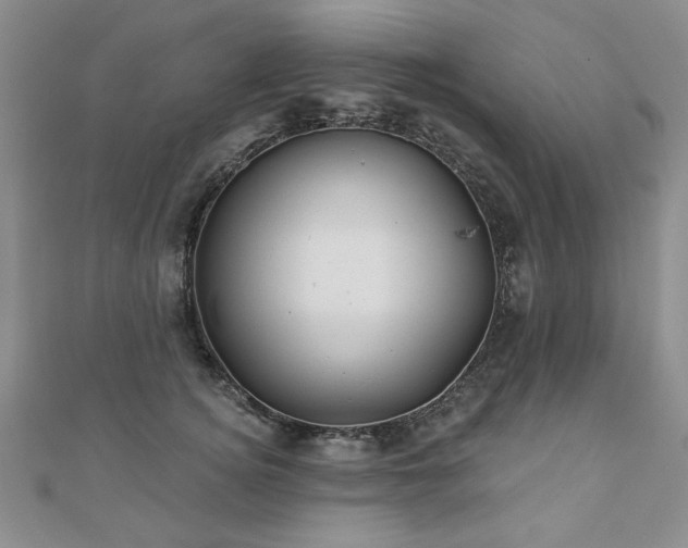 X0000110880756200906181225