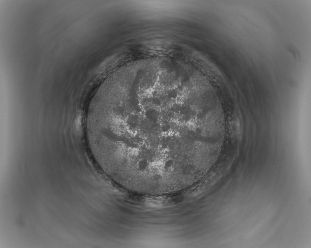 X0000110880757200906181225