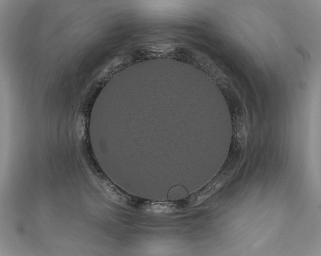 X0000110880758200906181225