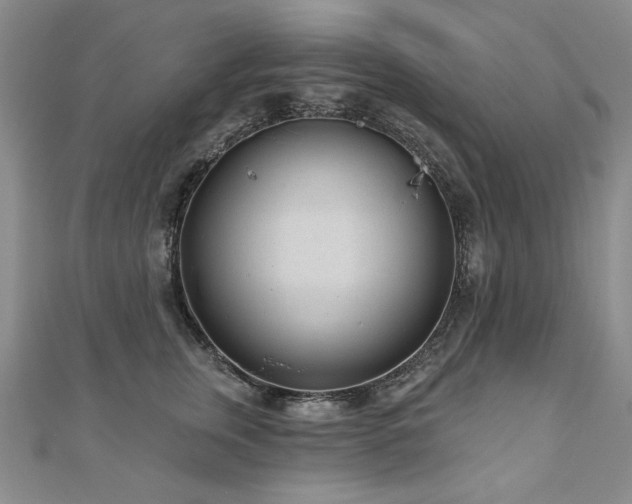 X0000110880759200906181225
